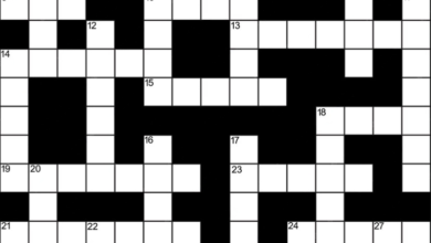 Sector NYT Crossword